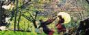 TOURISTS IN Sapa trekking and homestay - TL208 